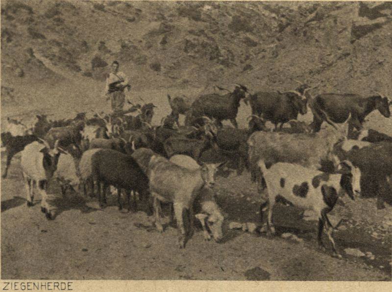 Osmanlı zamanında Üsküp - 588