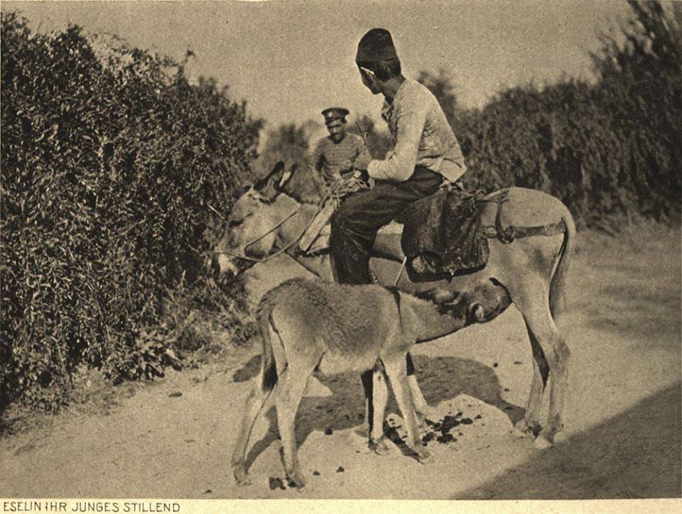 Osmanlı zamanında Üsküp - 594