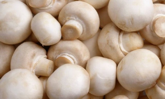 En faydalı 50 besin - 15