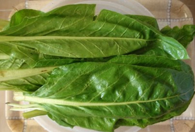 En faydalı 50 besin - 12