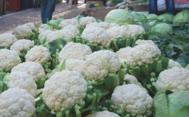 En faydalı 50 besin - 29