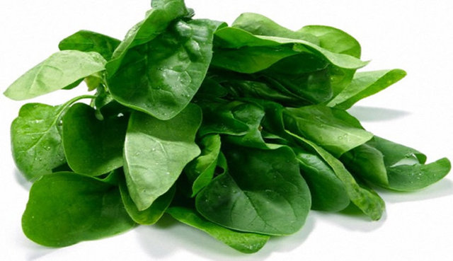 En faydalı 50 besin - 31