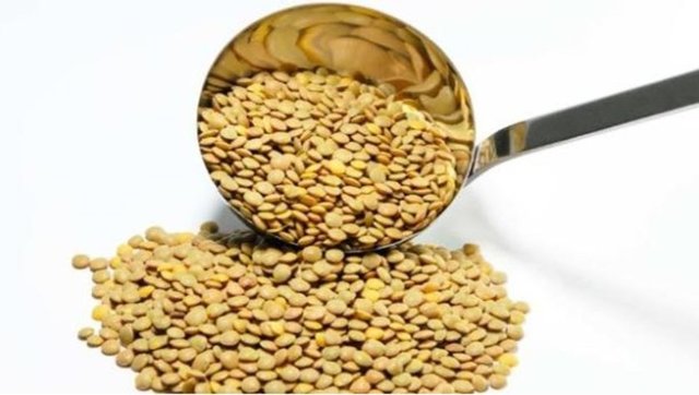 En faydalı 50 besin - 48