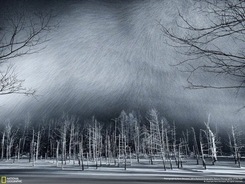 National Geographic'in en iyi doğa fotoğrafları - 27