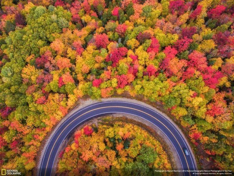 National Geographic'in en iyi doğa fotoğrafları - 3