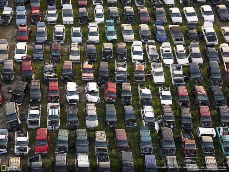 National Geographic'in en iyi doğa fotoğrafları - 10