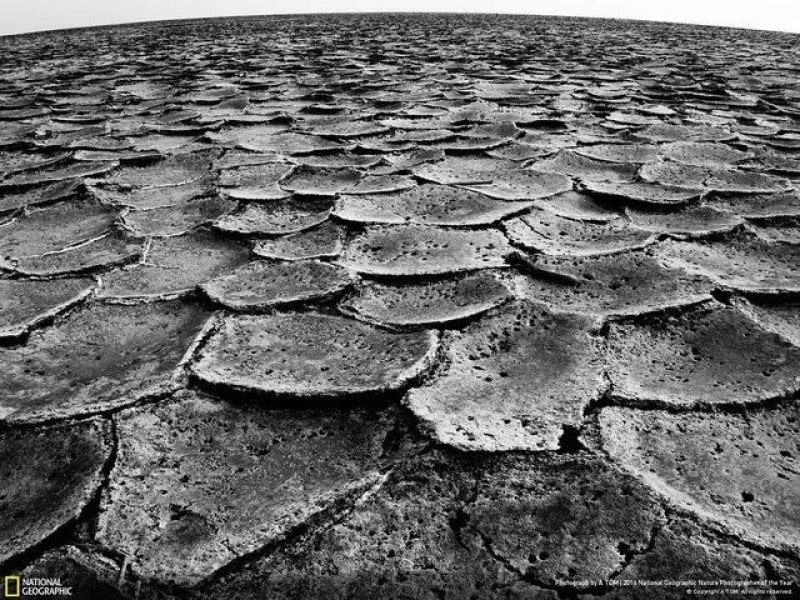 National Geographic'in en iyi doğa fotoğrafları - 9