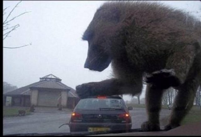 Sosyal medyada en çok paylaşılan kareler - 780