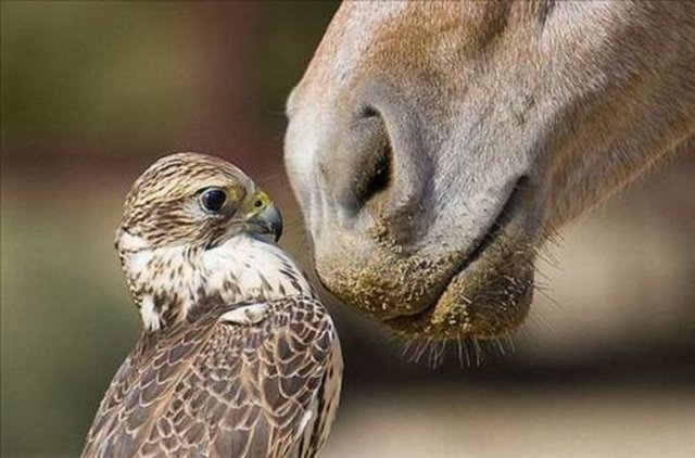 Sosyal medyada en çok paylaşılan kareler - 913