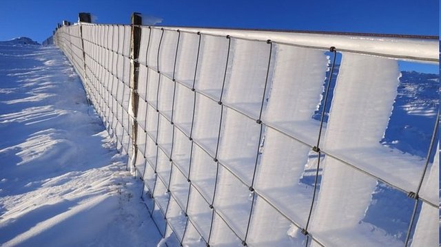 Sosyal medyada en çok paylaşılan kareler - 509