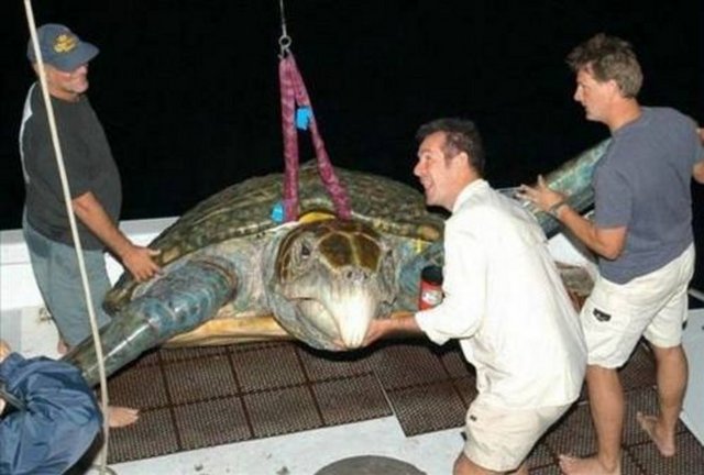 Sosyal medyada en çok paylaşılan kareler - 743