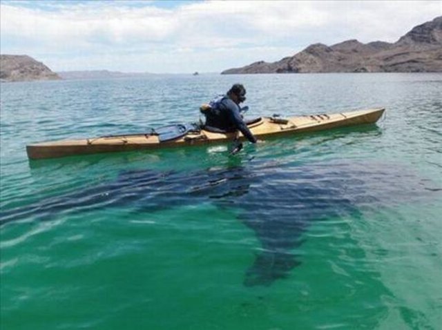 Sosyal medyada en çok paylaşılan kareler - 700