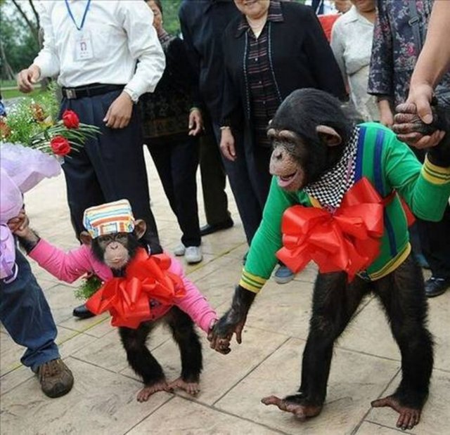 Sosyal medyada en çok paylaşılan kareler - 877