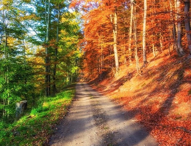 Sosyal medyada en çok paylaşılan kareler - 783