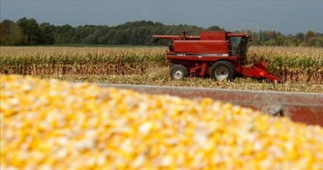 Sosyal medyada en çok paylaşılan kareler - 621