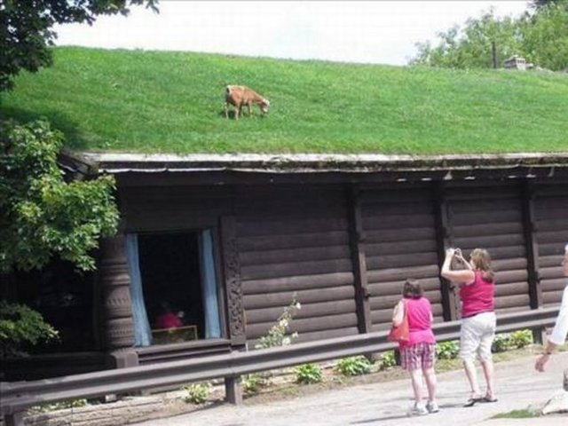 Sosyal medyada en çok paylaşılan kareler - 842