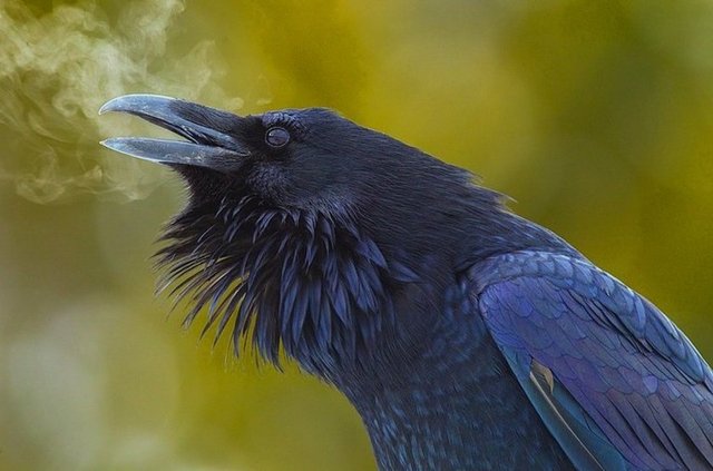 Sosyal medyada en çok paylaşılan kareler - 760