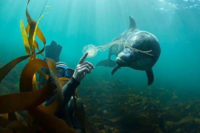 Sosyal medyada en çok paylaşılan kareler - 580