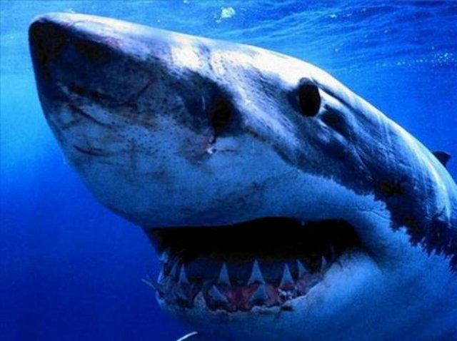 Sosyal medyada en çok paylaşılan kareler - 935