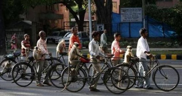 Sosyal medyada en çok paylaşılan kareler - 840