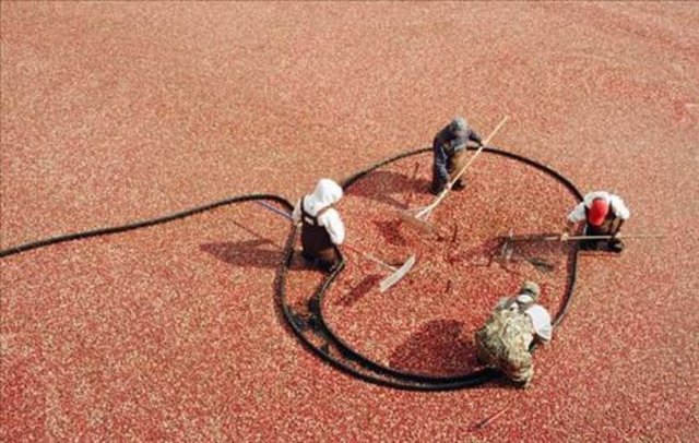 Sosyal medyada en çok paylaşılan kareler - 797