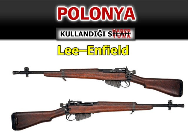 Hangi ülke hangi silahları kullanıyor? - 533