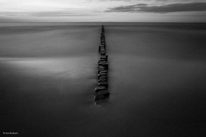 2016'nın en iyi vahşi yaşam fotoğrafları - 587