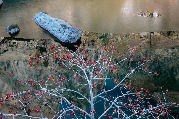 2016'nın en iyi vahşi yaşam fotoğrafları - 851