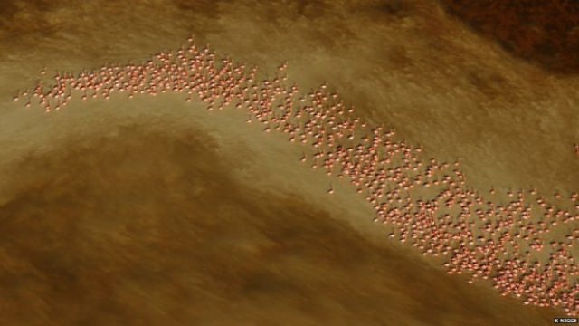 2016'nın en iyi vahşi yaşam fotoğrafları - 580