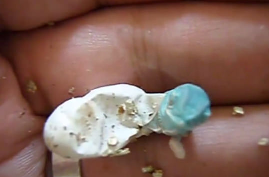 Bukelamun yumurtadan böyle çıkıyor - 3