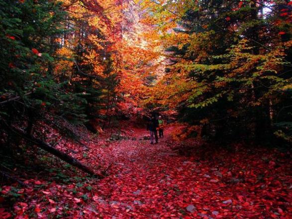 Sonbaharda gezilecek yerler - 8