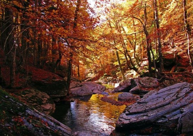 Sonbaharda gezilecek yerler - 9