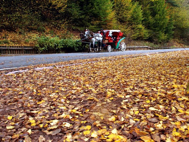Sonbaharda gezilecek yerler - 11