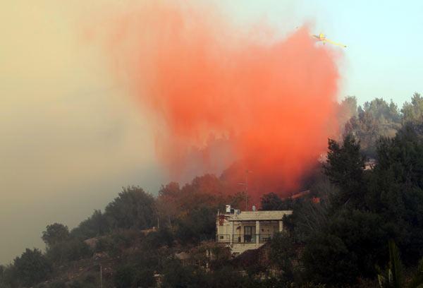 İsrail cehennemi yaşıyor - 544