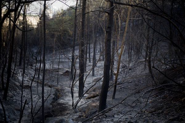 İsrail cehennemi yaşıyor - 710