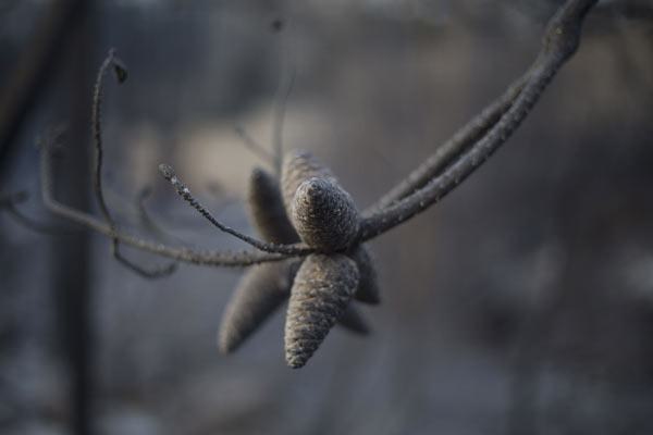 İsrail cehennemi yaşıyor - 623