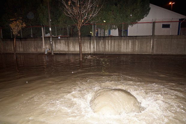 İzmir caddelerinde kazlar yüzüyor! - 4