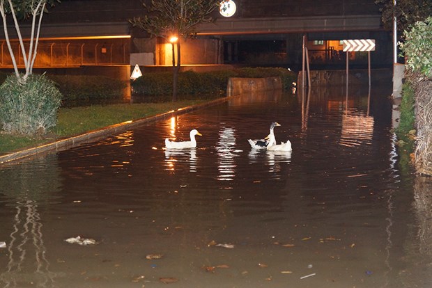 İzmir caddelerinde kazlar yüzüyor! - 1
