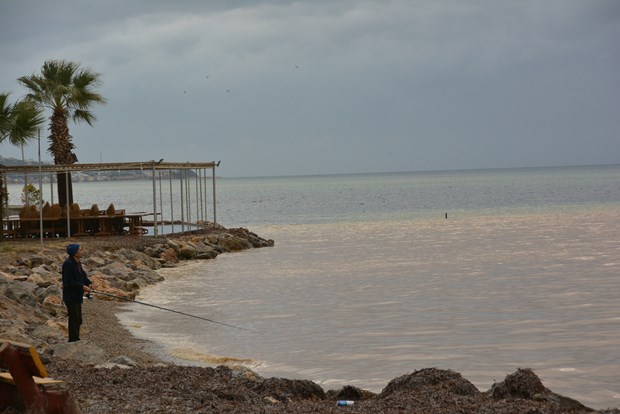 Edremit Körfezi'nde denizin rengi değişti - 1