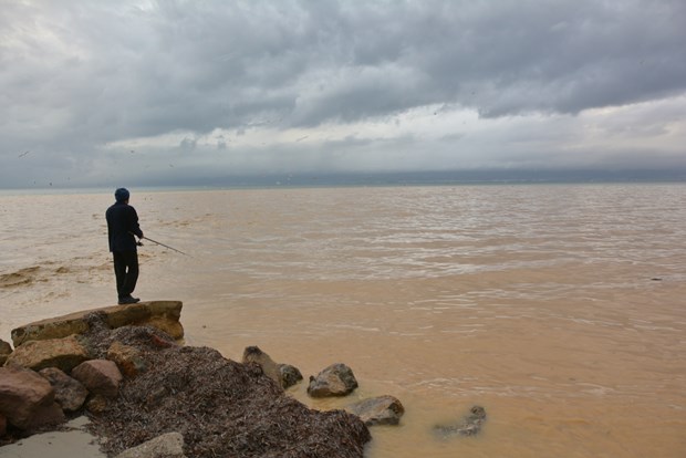 Edremit Körfezi'nde denizin rengi değişti - 6