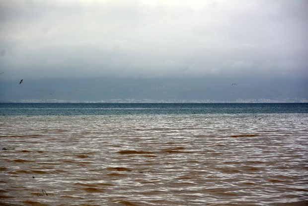 Edremit Körfezi'nde denizin rengi değişti - 7