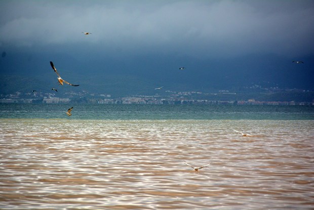 Edremit Körfezi'nde denizin rengi değişti - 2