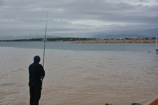 Edremit Körfezi'nde denizin rengi değişti - 3