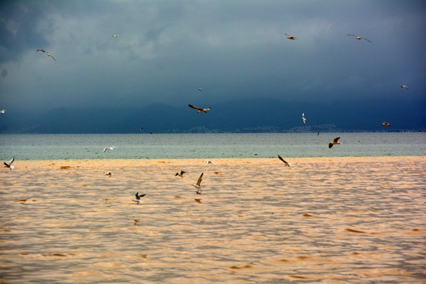 Edremit Körfezi'nde denizin rengi değişti - 4