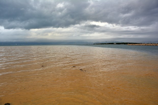 Edremit Körfezi'nde denizin rengi değişti - 5
