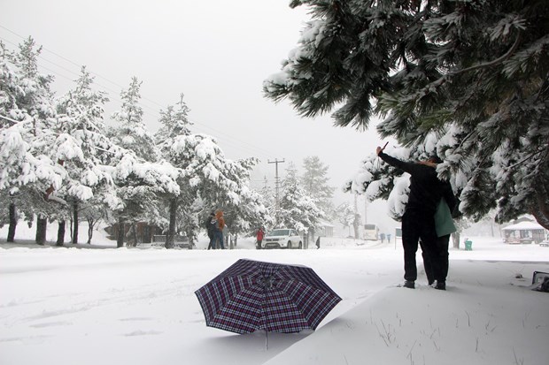 Türkiye'den kar manzaraları - 10