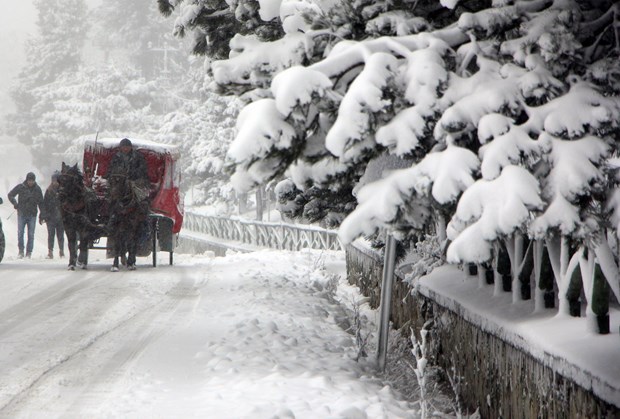 Türkiye'den kar manzaraları - 13