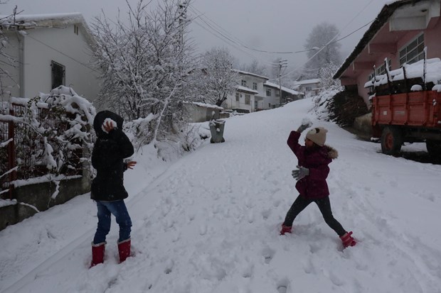 Türkiye'den kar manzaraları - 20