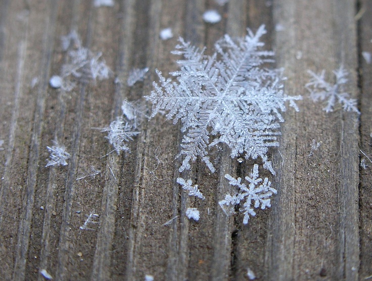 Kar taneleri görenleri hayran bıraktı - 28