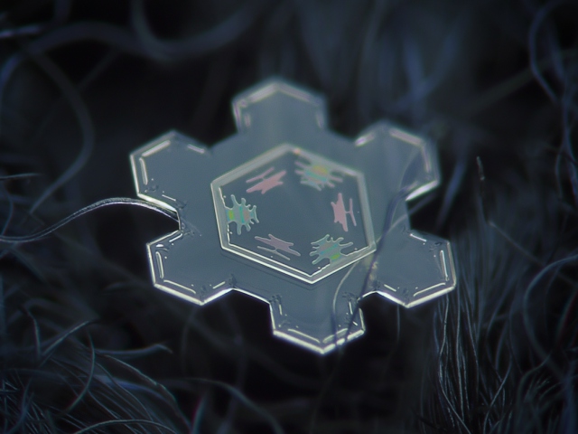 Kar taneleri görenleri hayran bıraktı - 23